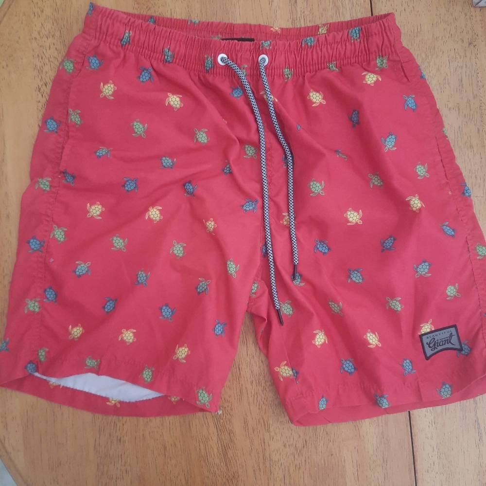 Mens swimming shorts   A1A24
